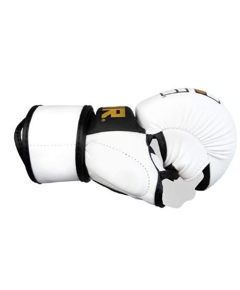 MMA Spar Gloves | White