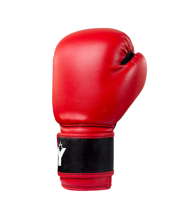 Youngstar 6oz. Youth Boxing Gloves